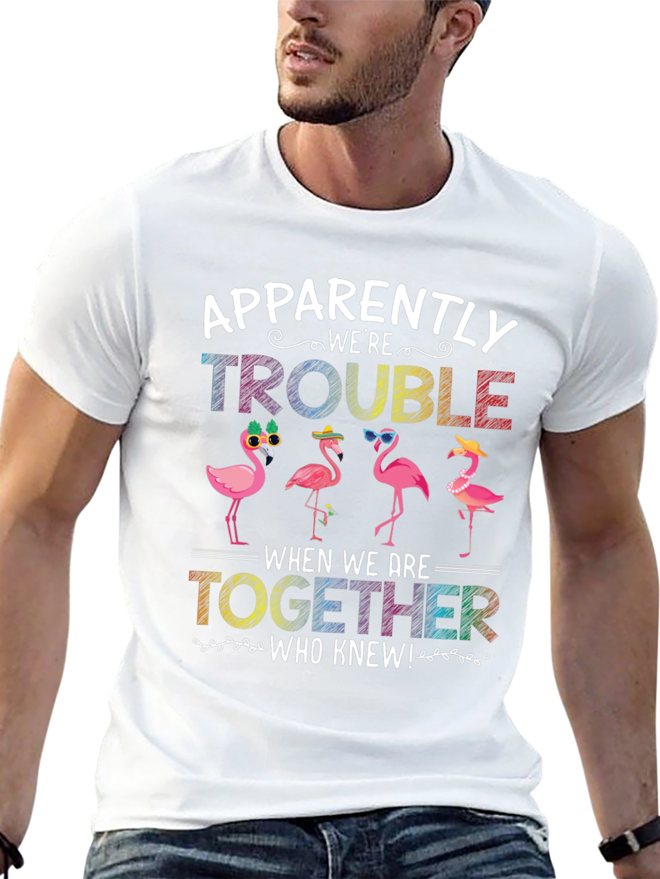 Flamingo Trouble Graphic T-Shirt