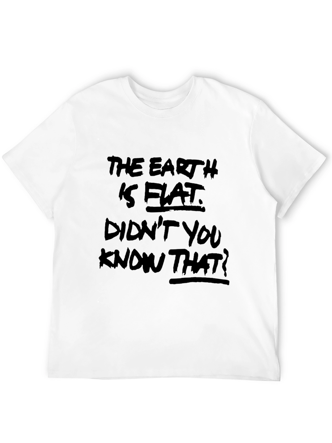 Flat Earth Graphic Tee - Conspiracy Theory T-Shirt
