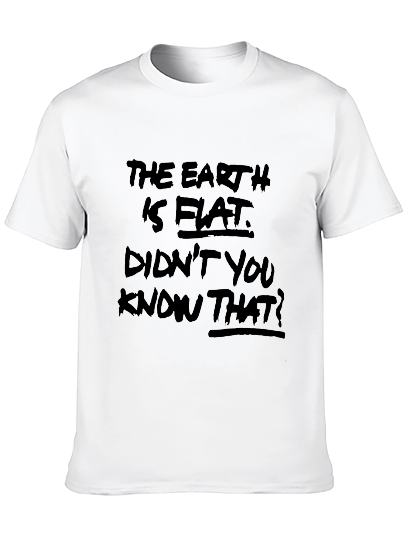 Flat Earth Graphic Tee - Conspiracy Theory T-Shirt