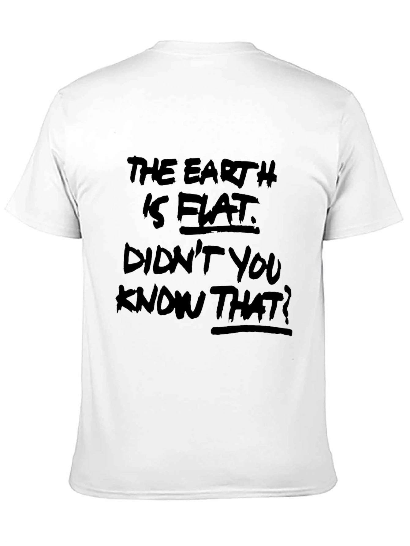 Flat Earth Graphic Tee - Conspiracy Theory T-Shirt