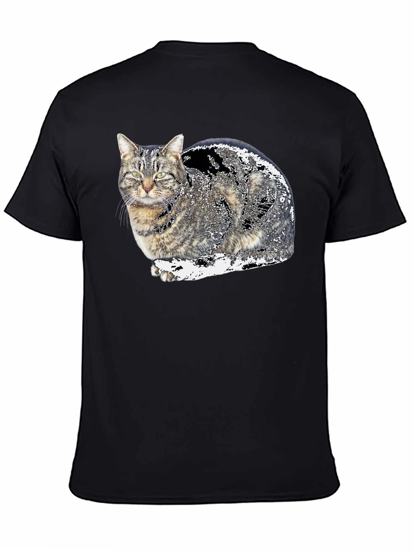 Cat Graphic Black T-Shirt