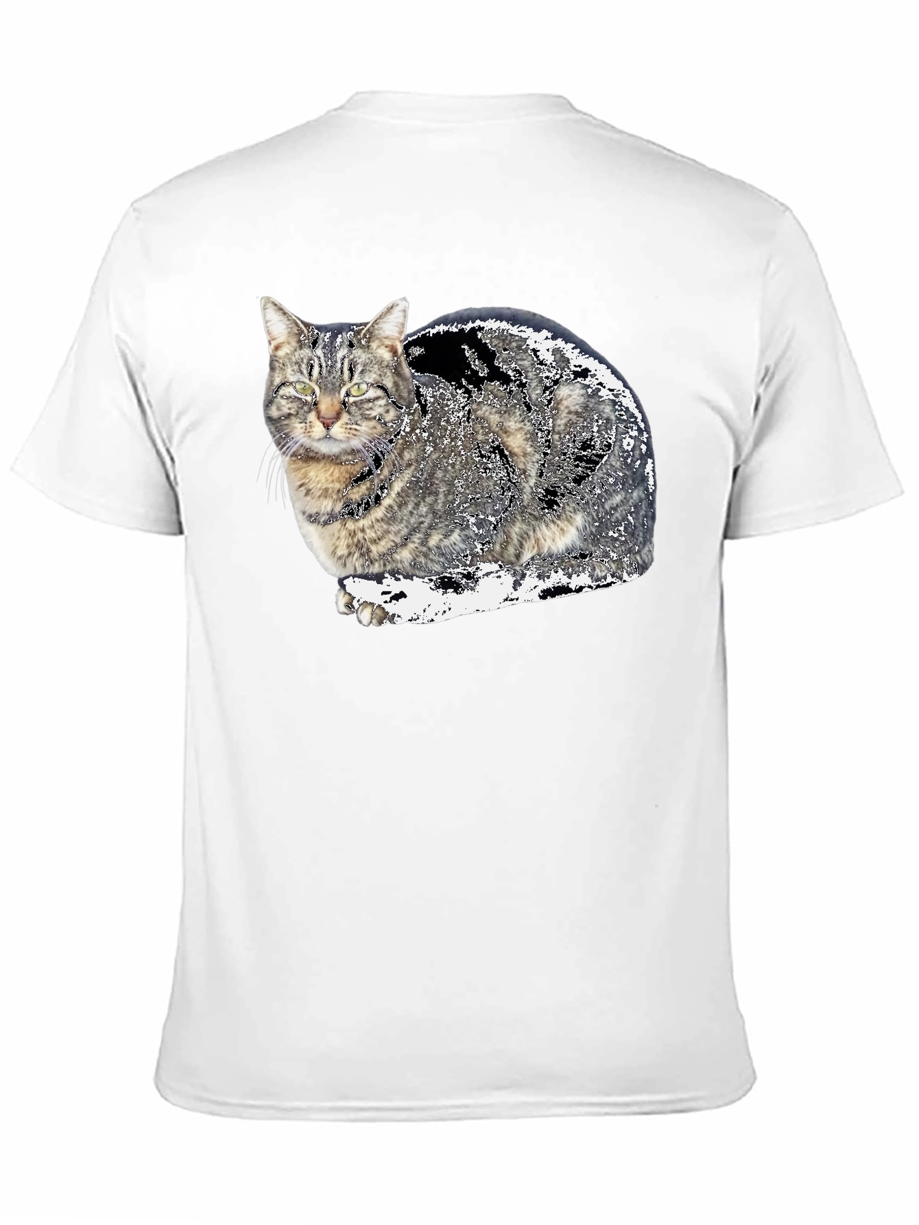 Cat Graphic Black T-Shirt
