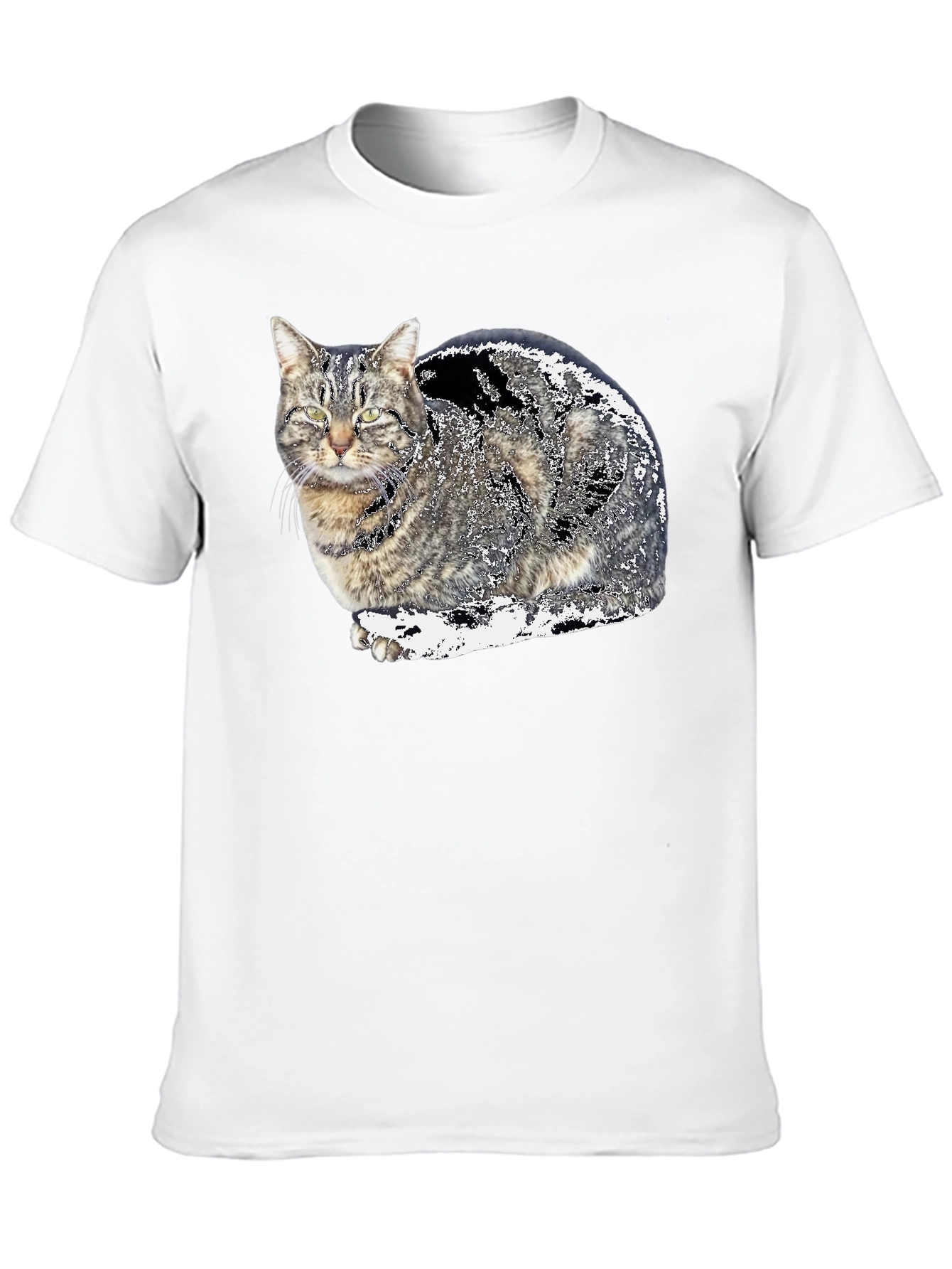 Cat Graphic Black T-Shirt