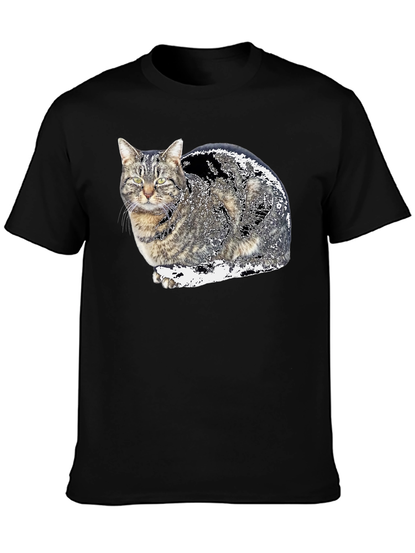 Cat Graphic Black T-Shirt