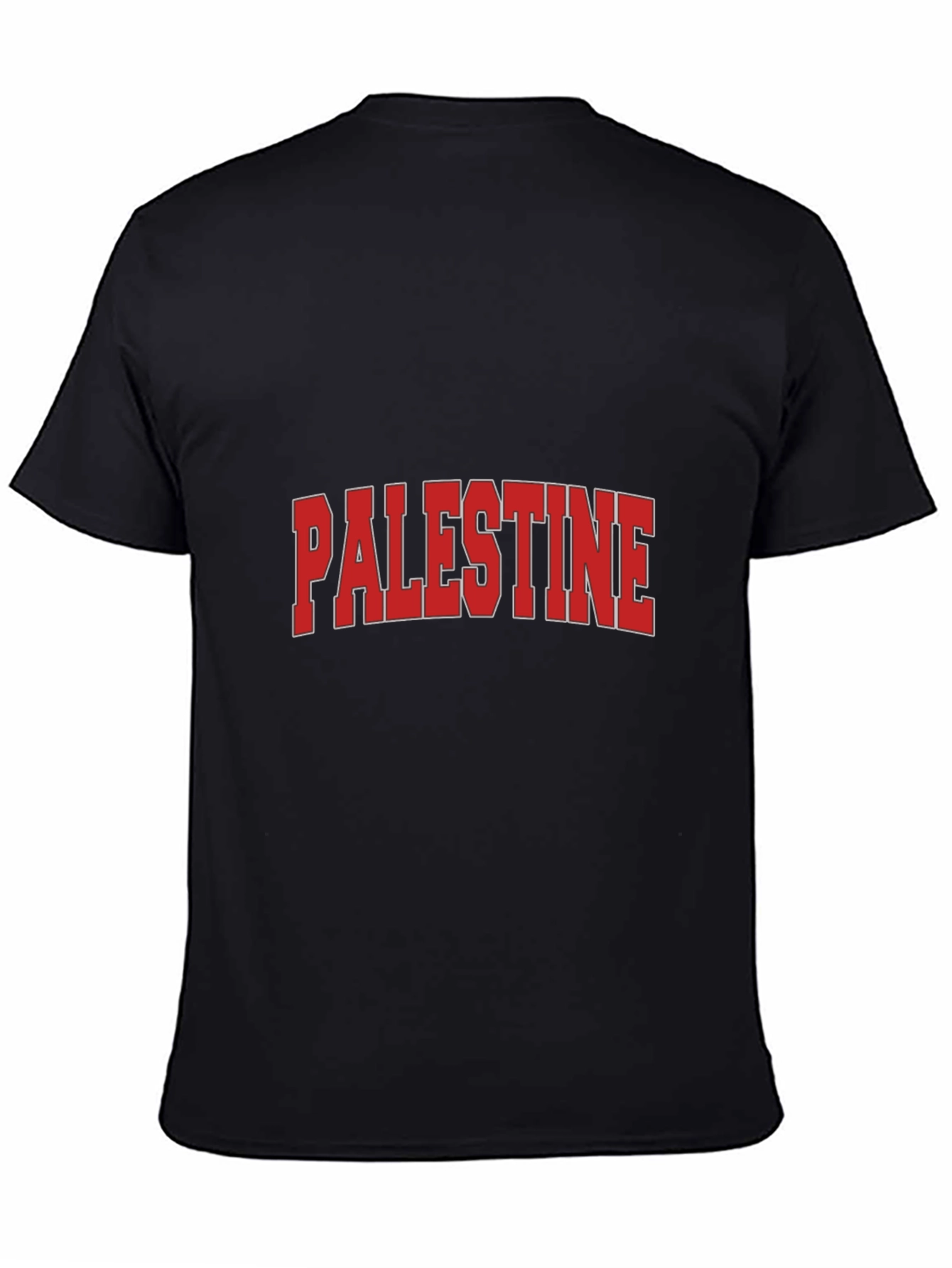 Palestine Graphic T-Shirt - Classic Design