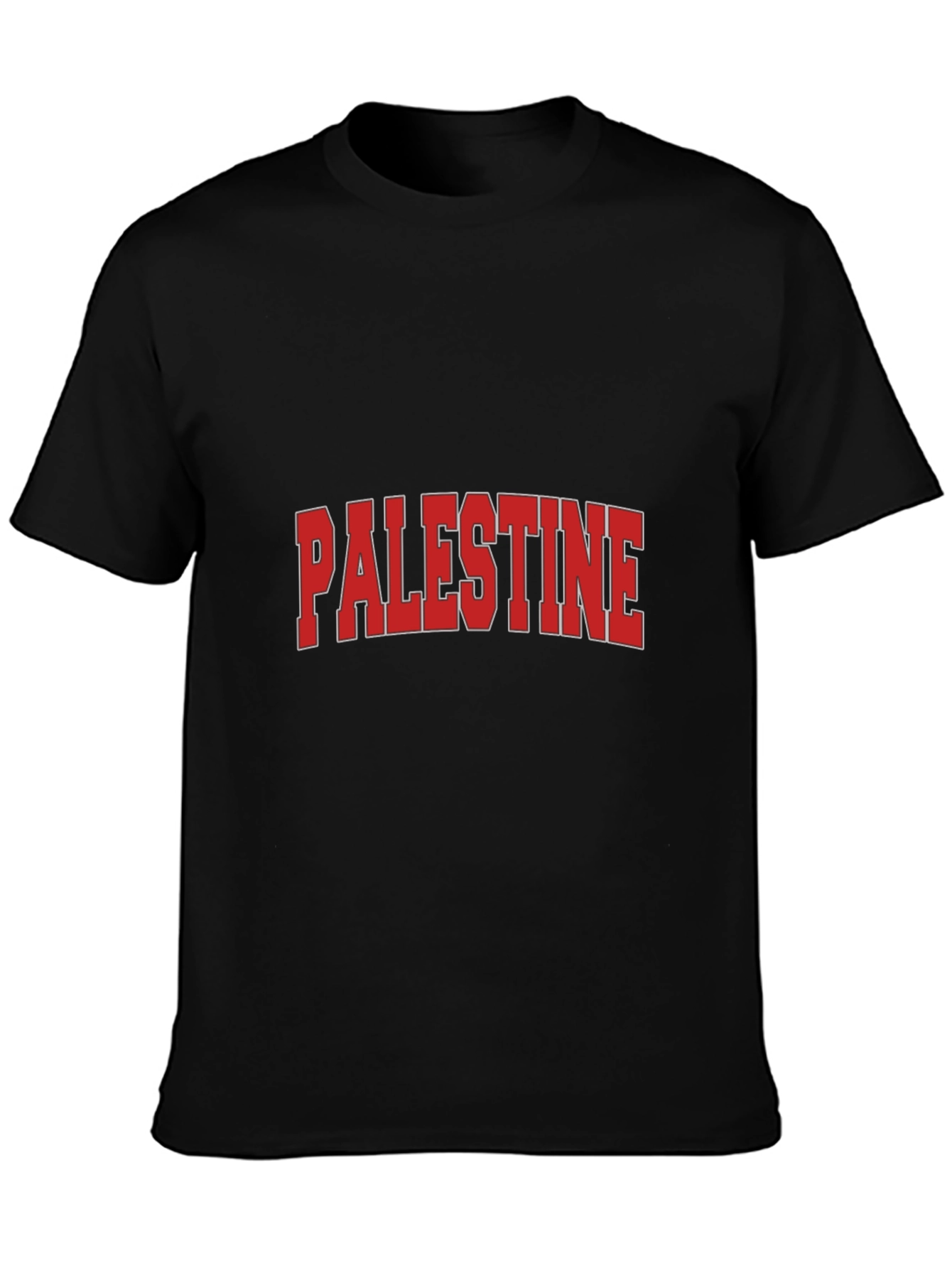 Palestine Graphic T-Shirt - Classic Design