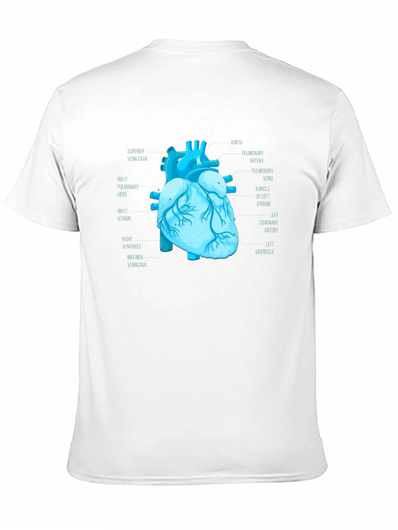 Anatomical Heart Print T-Shirt - Medical Science Tee