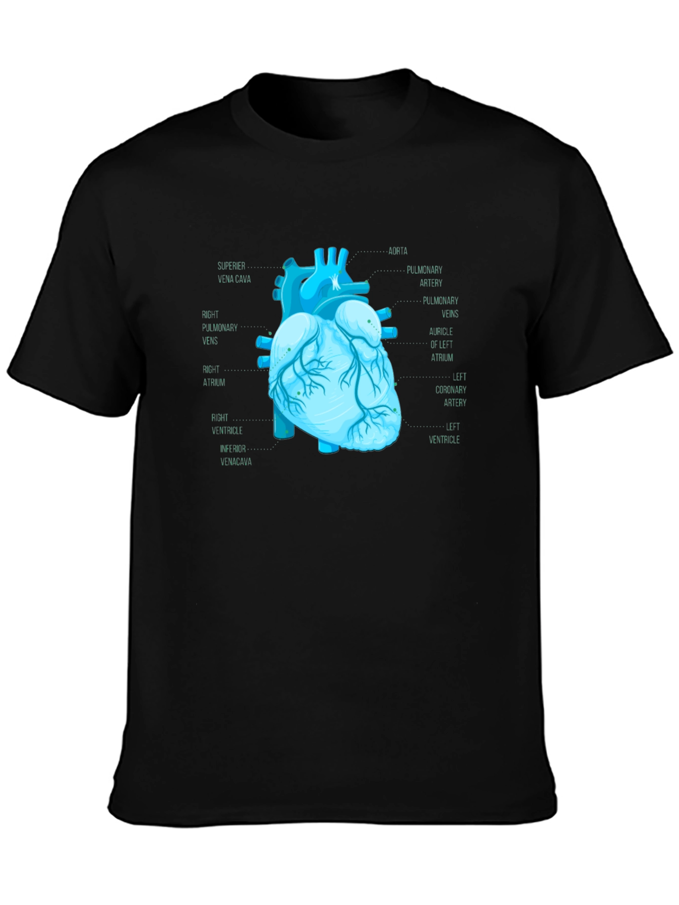 Anatomical Heart Print T-Shirt - Medical Science Tee