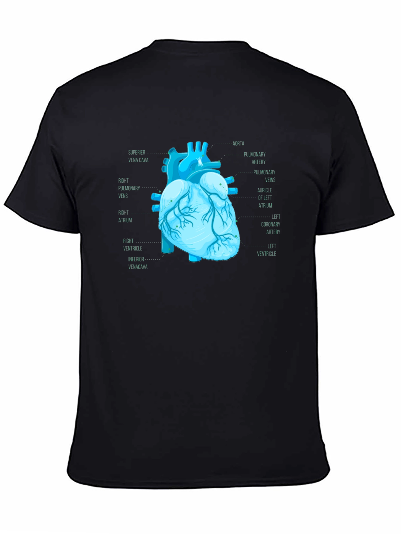 Anatomical Heart Print T-Shirt - Medical Science Tee