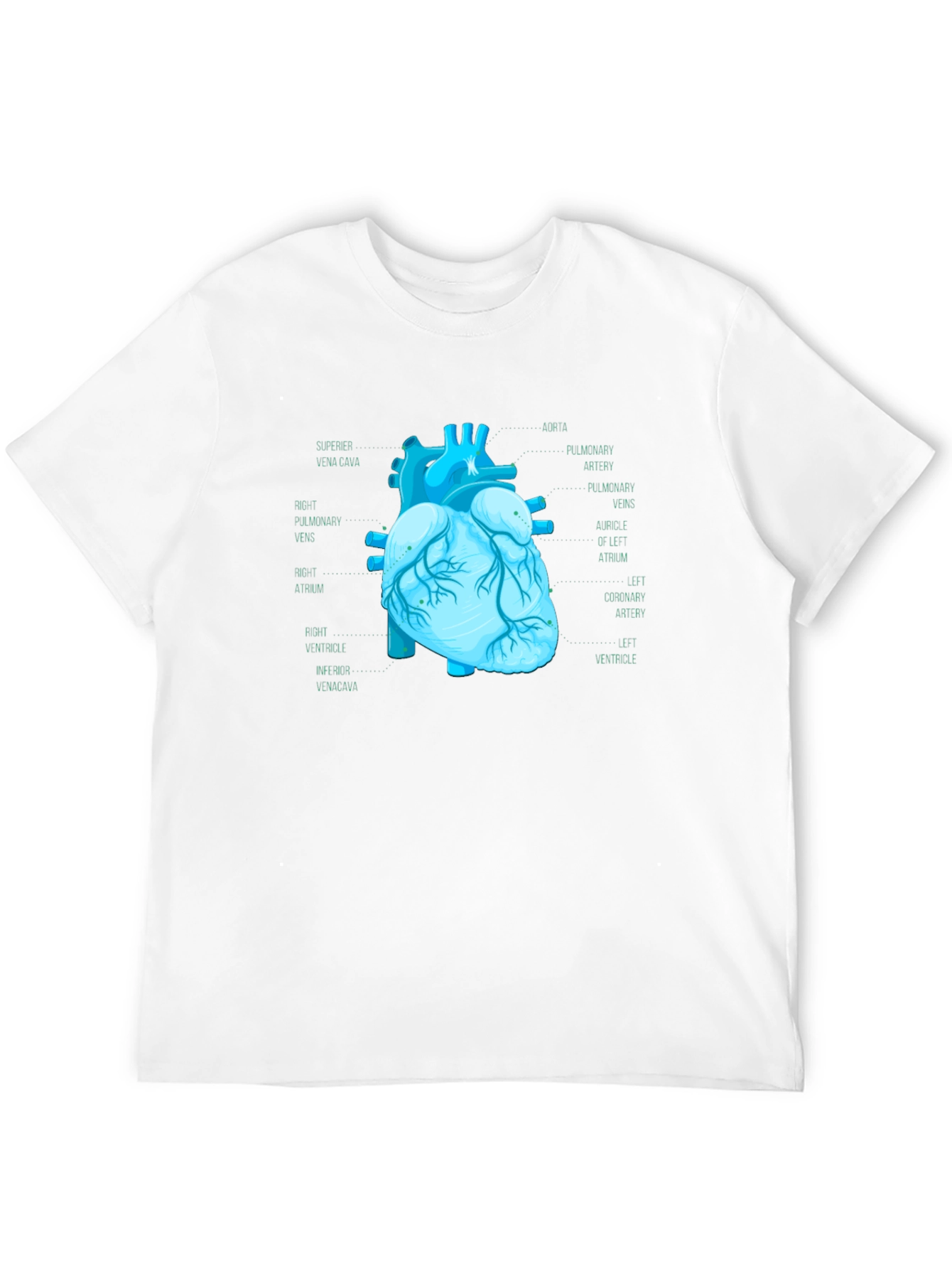Anatomical Heart Print T-Shirt - Medical Science Tee