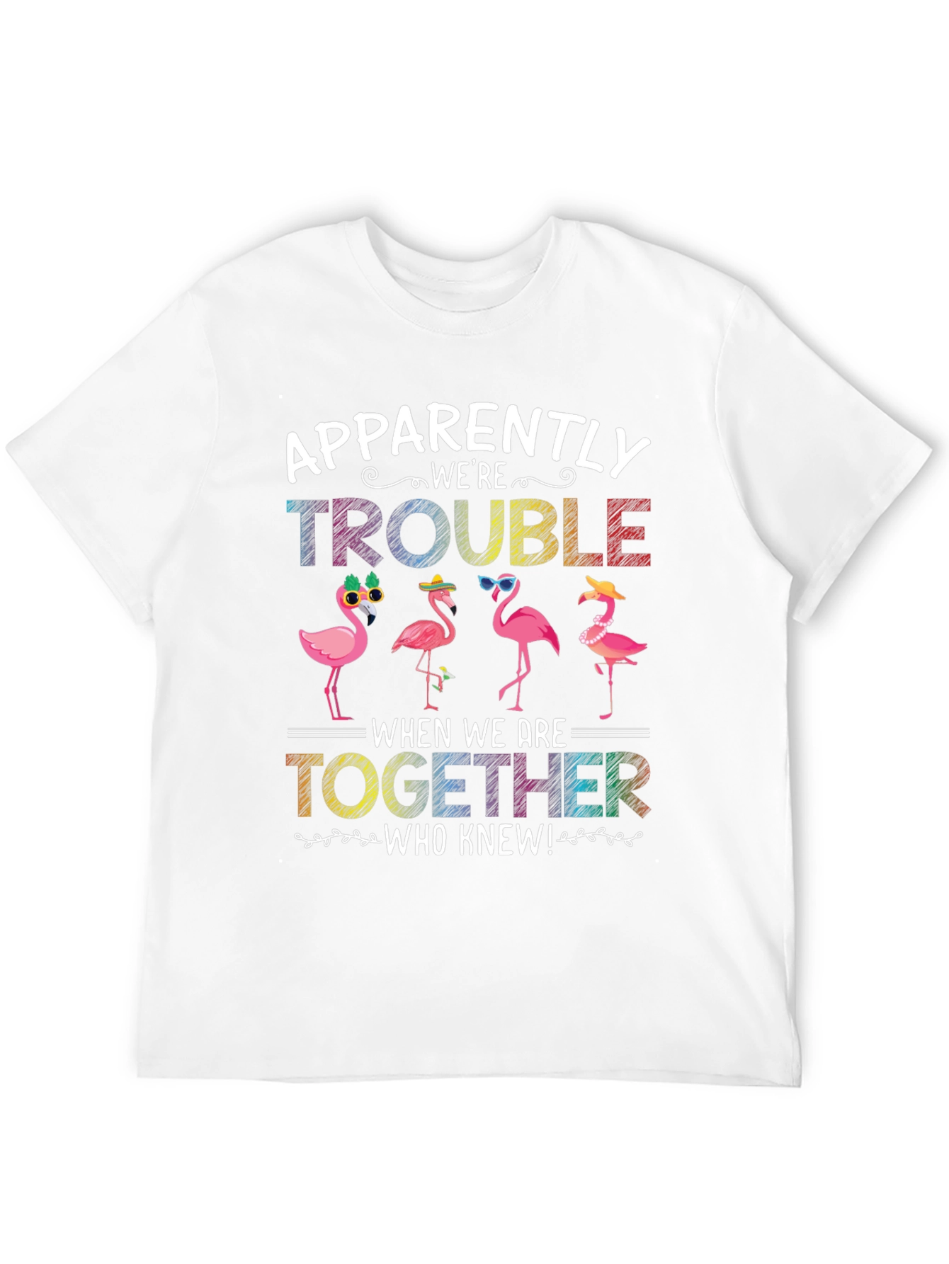 Flamingo Trouble Graphic T-Shirt