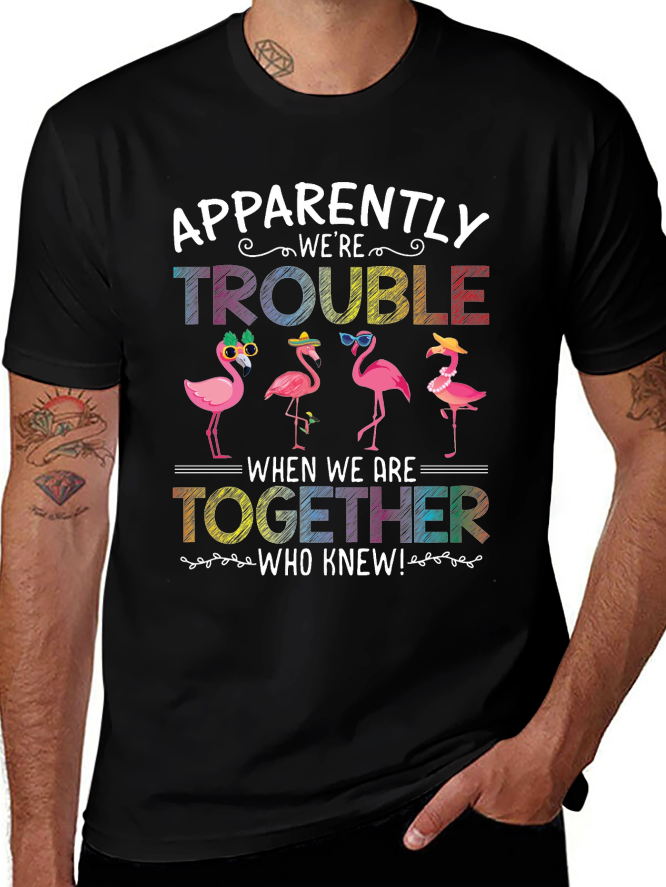 Flamingo Trouble Graphic T-Shirt
