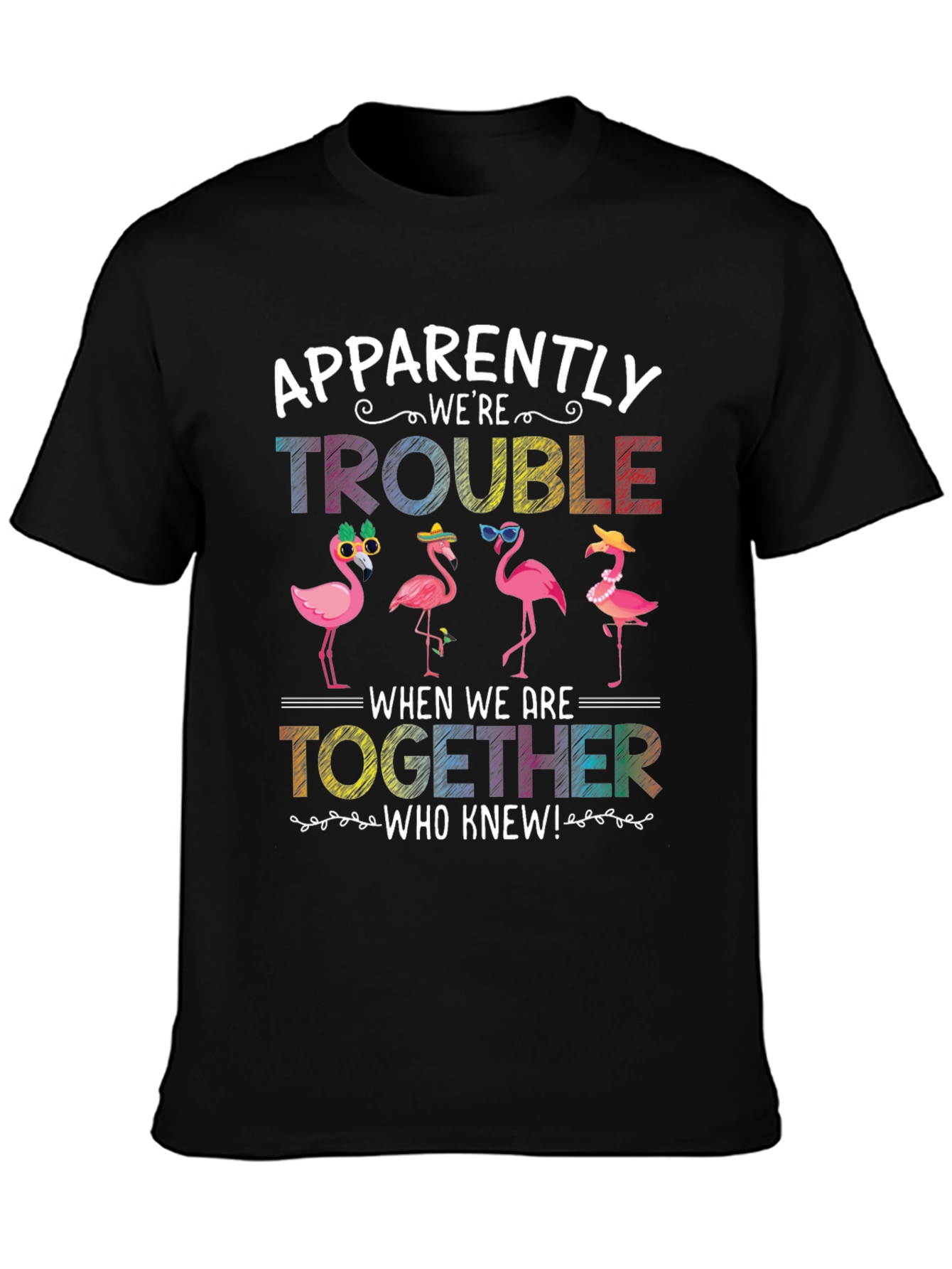 Flamingo Trouble Graphic T-Shirt
