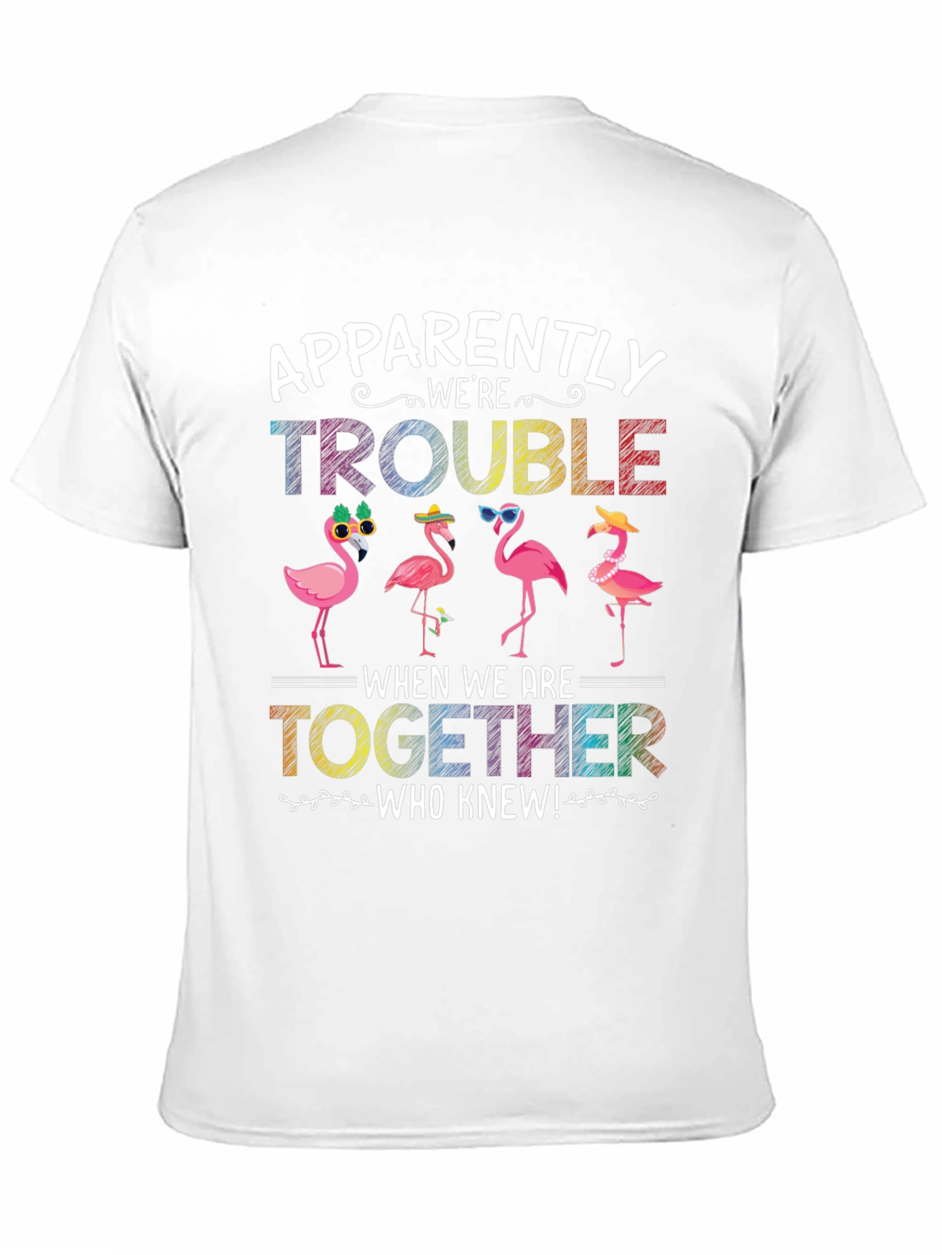 Flamingo Trouble Graphic T-Shirt