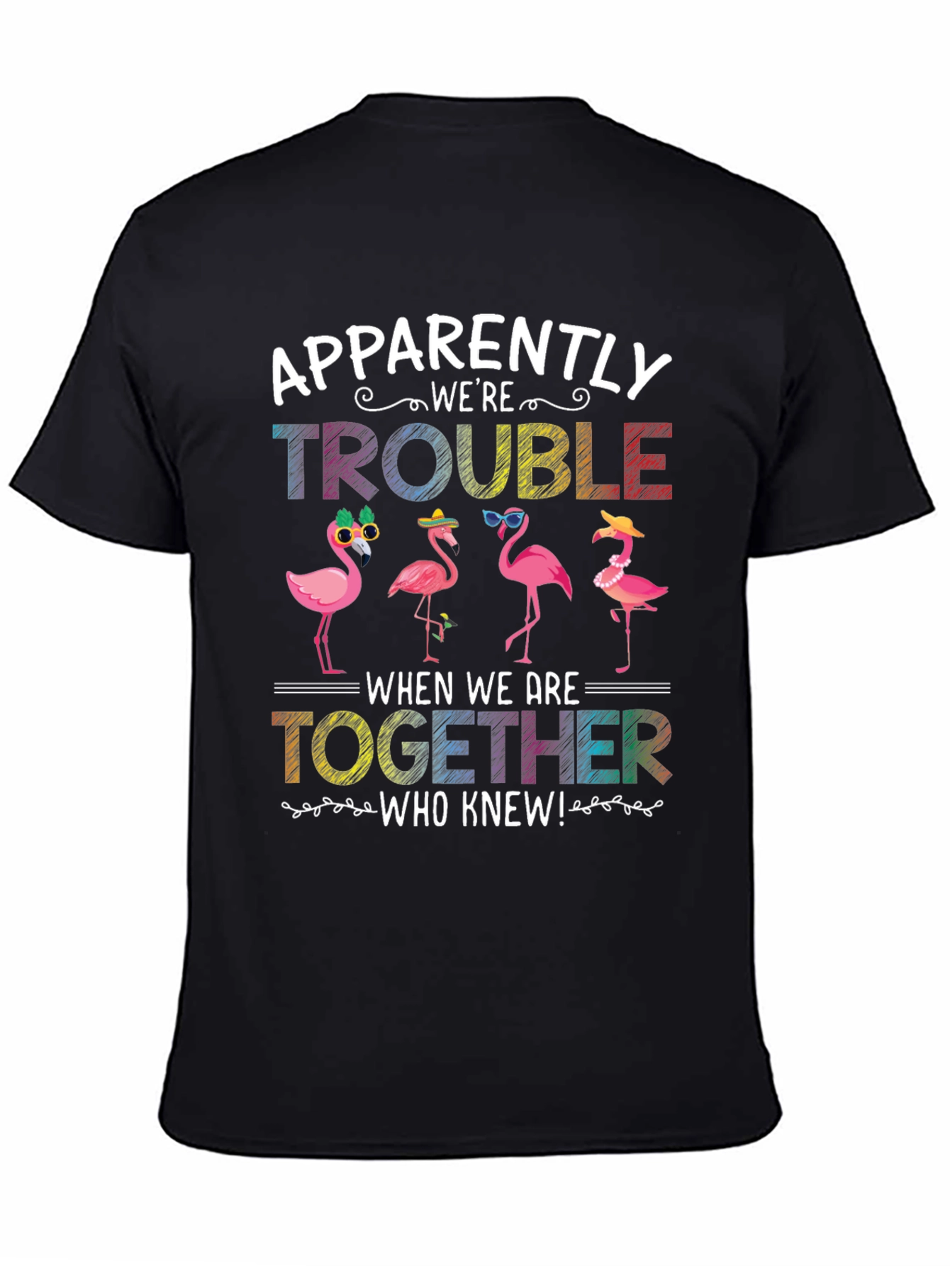 Flamingo Trouble Graphic T-Shirt