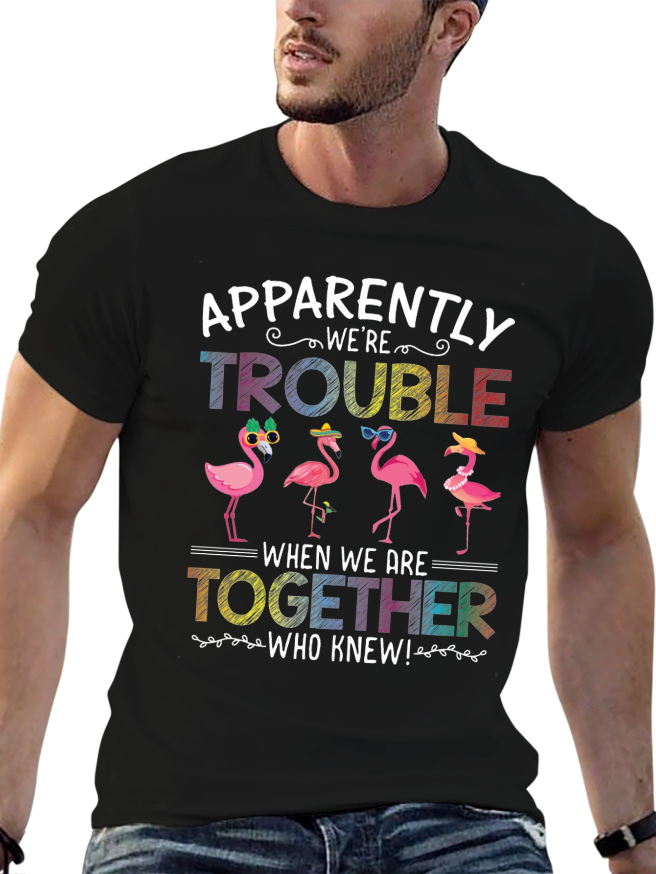 Flamingo Trouble Graphic T-Shirt