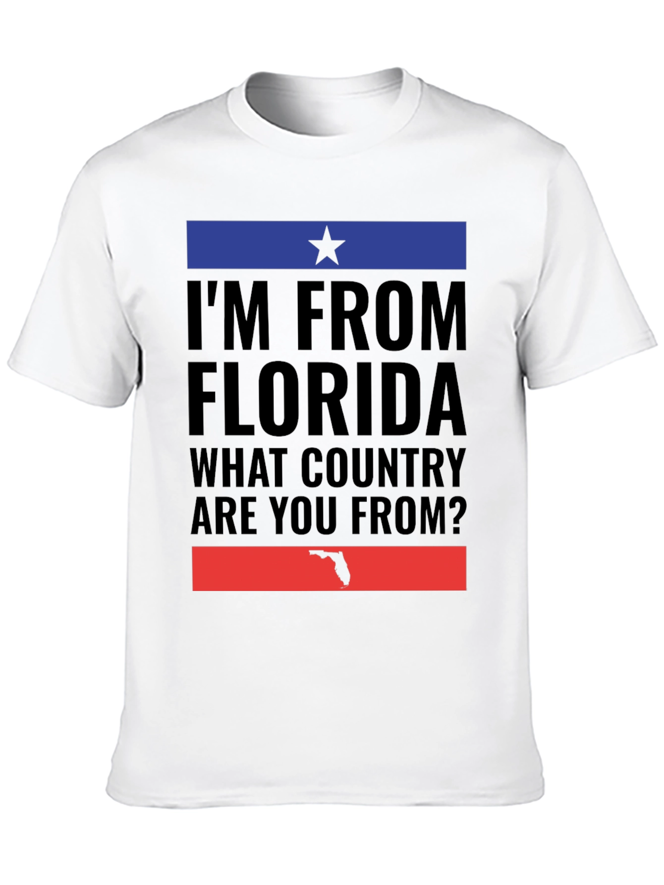 Im From Florida T-Shirt