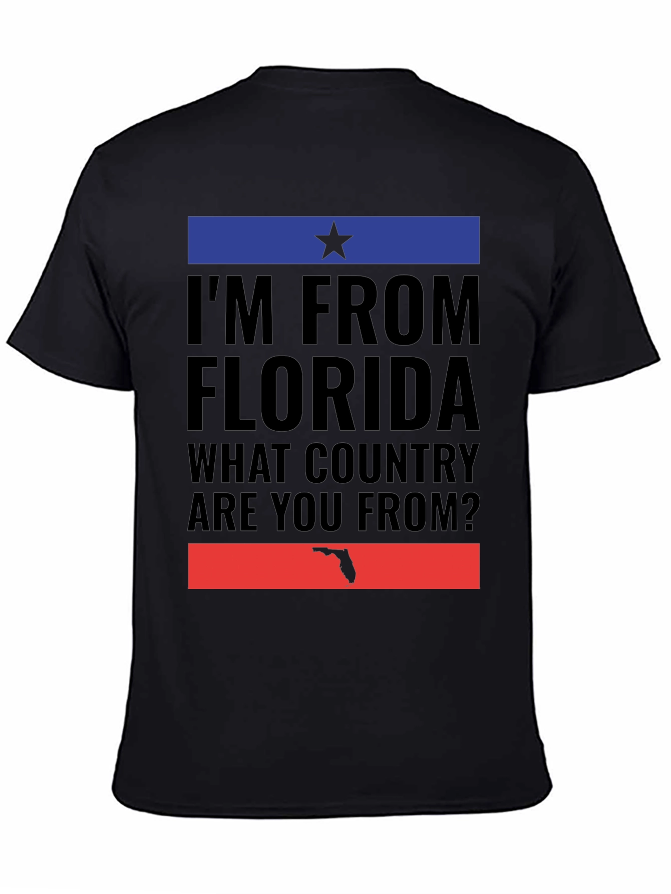 Im From Florida T-Shirt