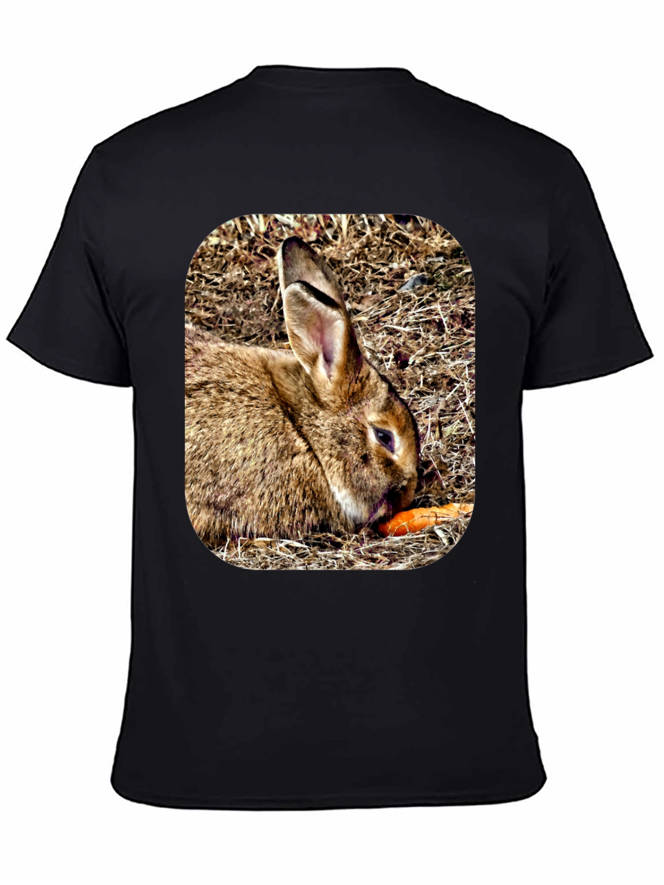 Rabbit Eating Carrot Graphic T-Shirt
