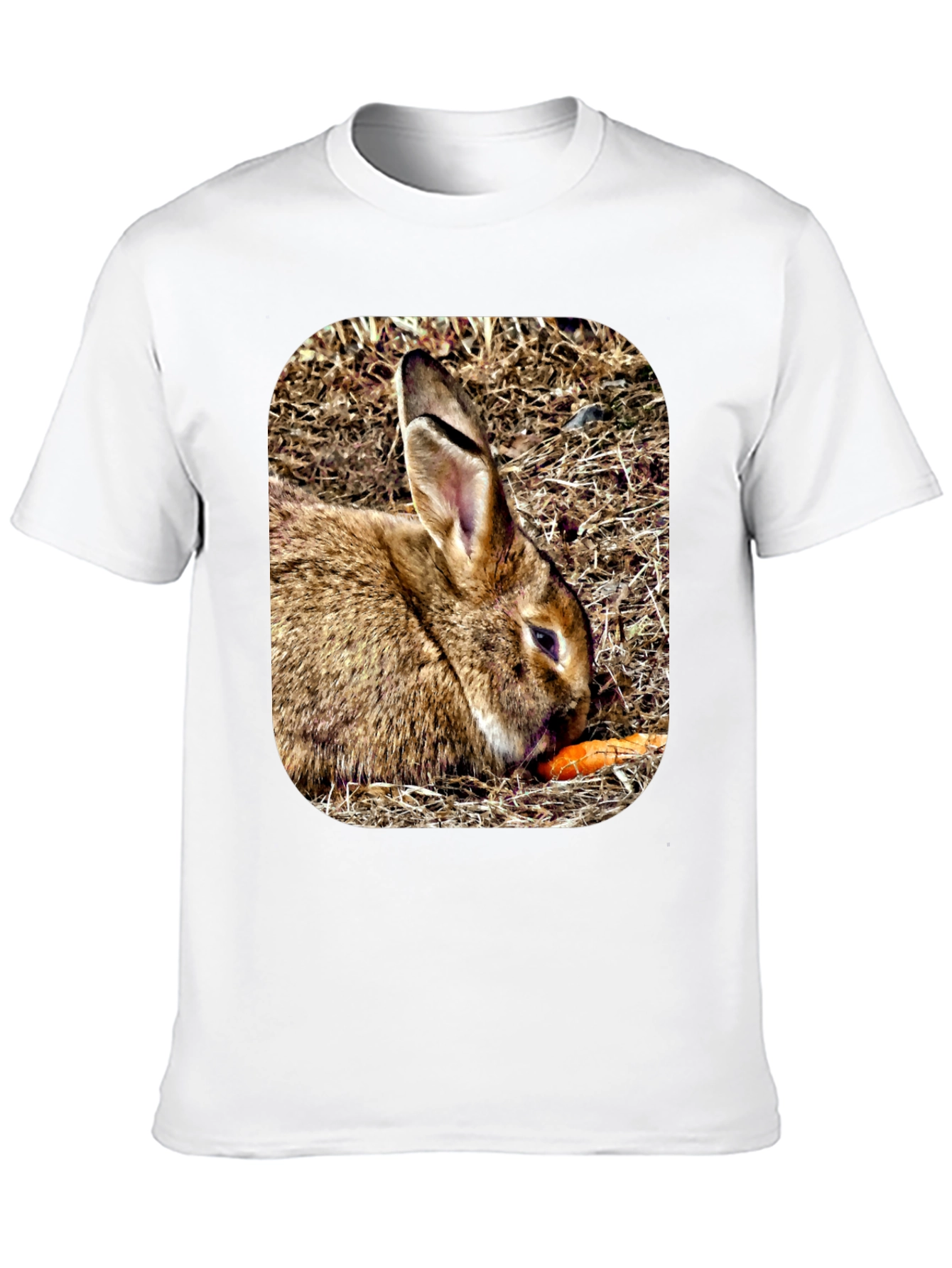 Rabbit Eating Carrot Graphic T-Shirt