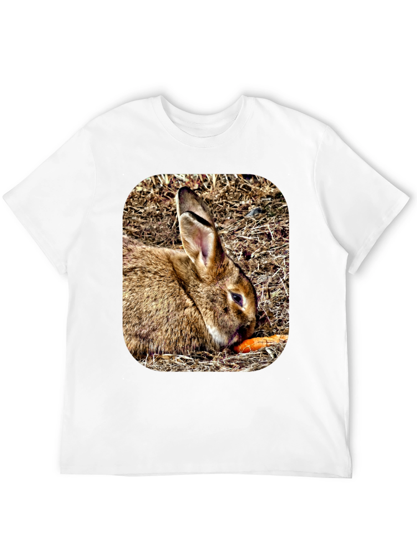 Rabbit Eating Carrot Graphic T-Shirt