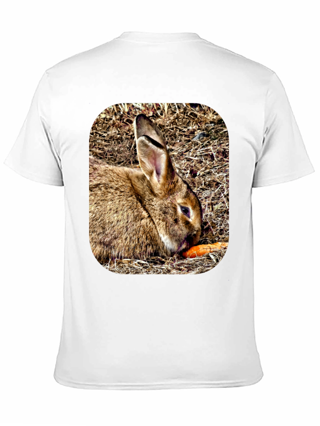 Rabbit Eating Carrot Graphic T-Shirt