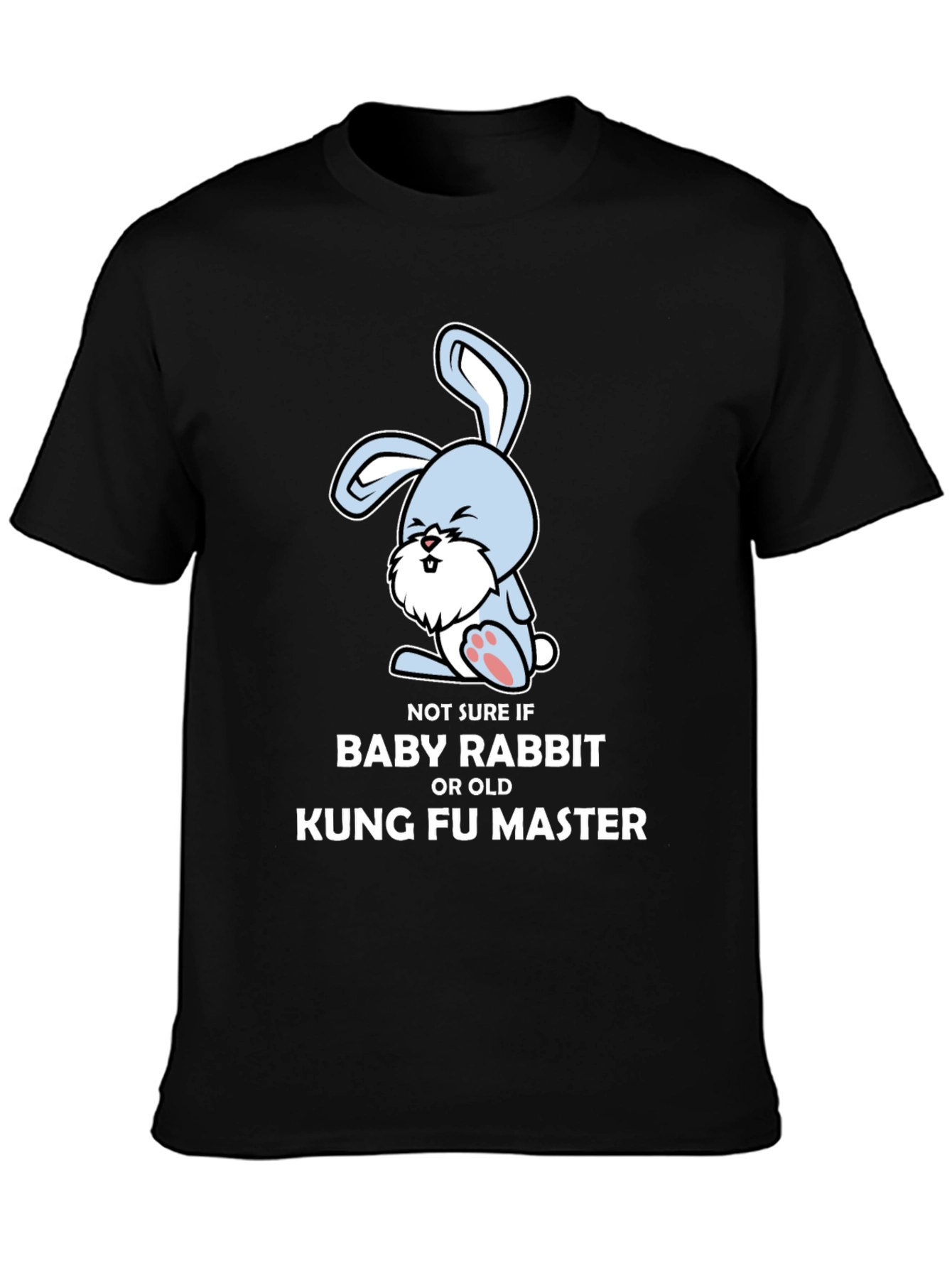 Kung Fu Master Rabbit T-Shirt
