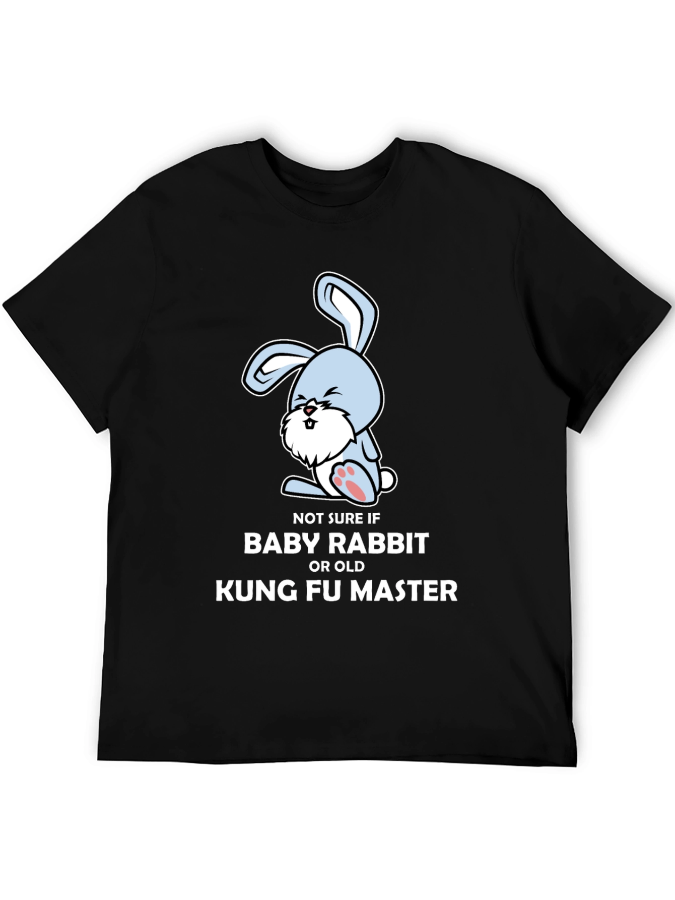 Kung Fu Master Rabbit T-Shirt