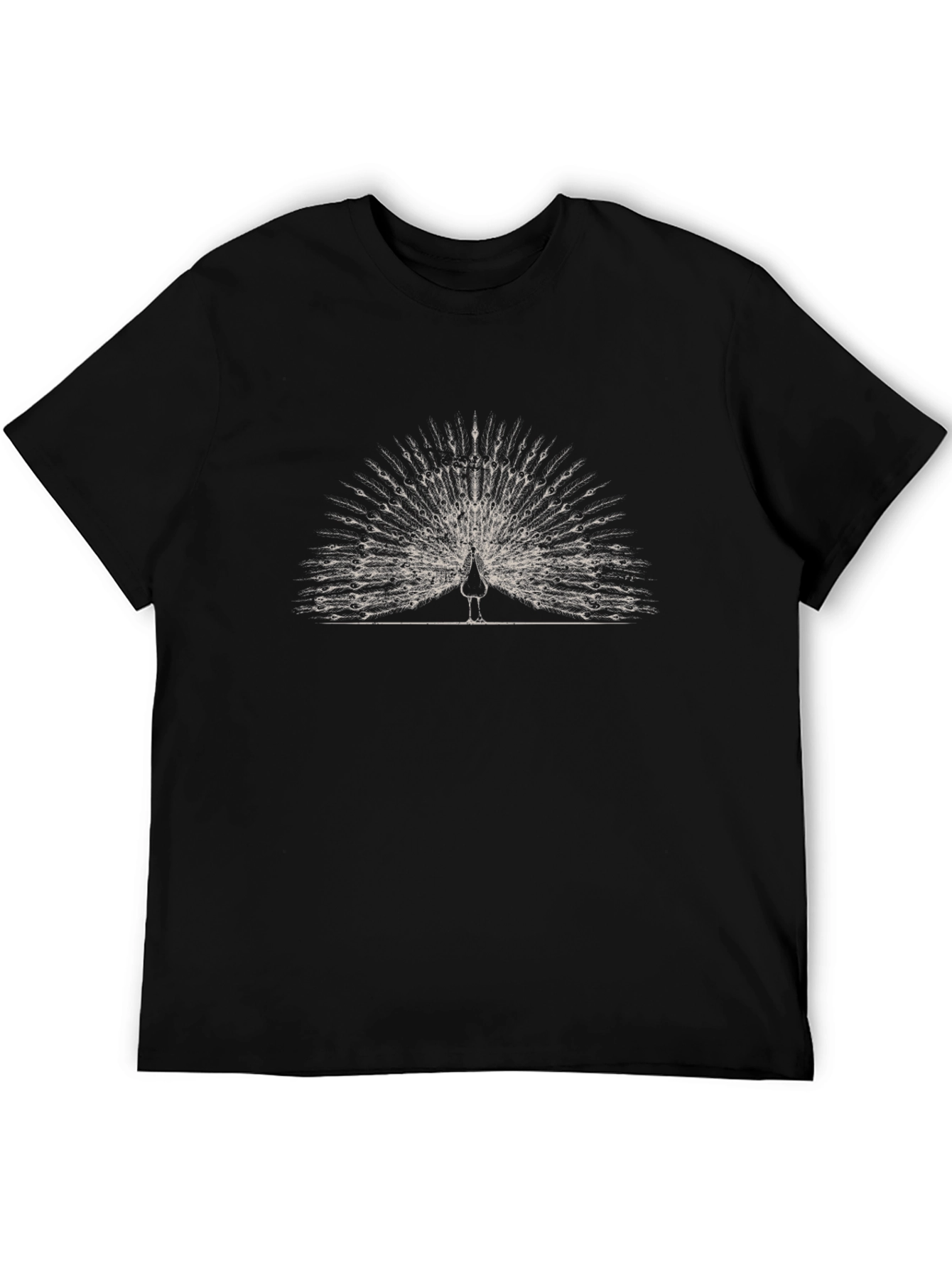 Peacock Graphic Print Black T-Shirt